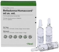 BELLADONNA HOMACCORD ad us.vet.Ampullen