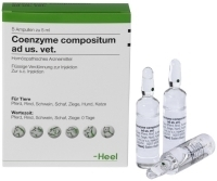 COENZYME COMPOSITUM ad us.vet.Ampullen